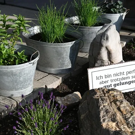 Edelweiss Am Oeberle 宾馆 *