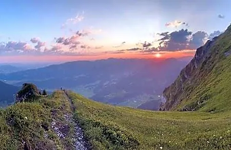 Edelweiss Am Oeberle * Au (Vorarlberg)